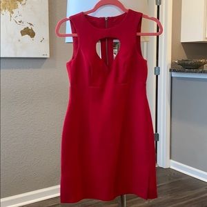 Red BCBG dress